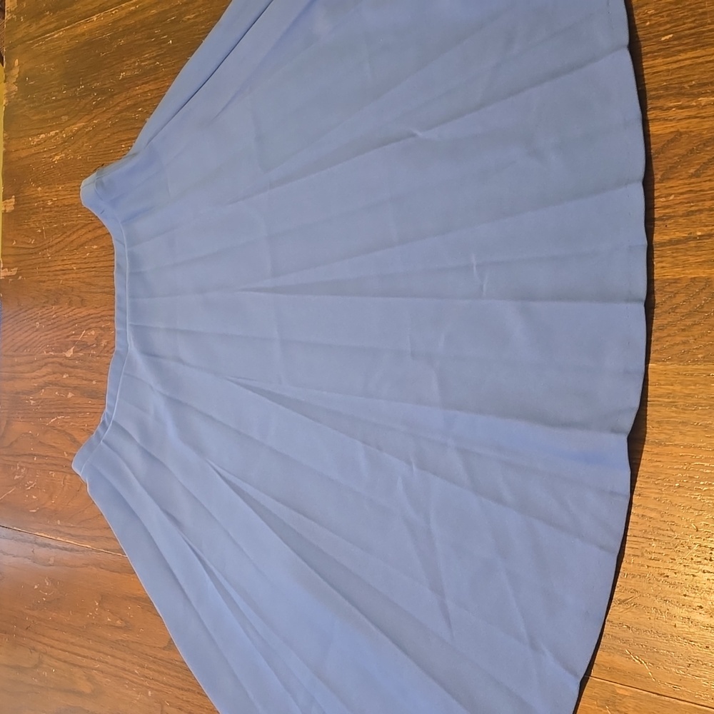 Baroness De Wayne Blie Skirt size 12